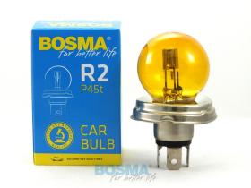 BOSMA 5012018 - R2 P45T-12V 45/40W YL