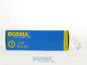 BOSMA 501243 - T15-12V 15W