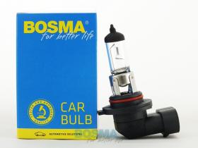 BOSMA 501310 - H10 PY20D-12V 42W